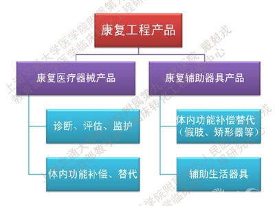戴克戎 3D打印个性化康复辅具——假肢与矫形器的革新之路